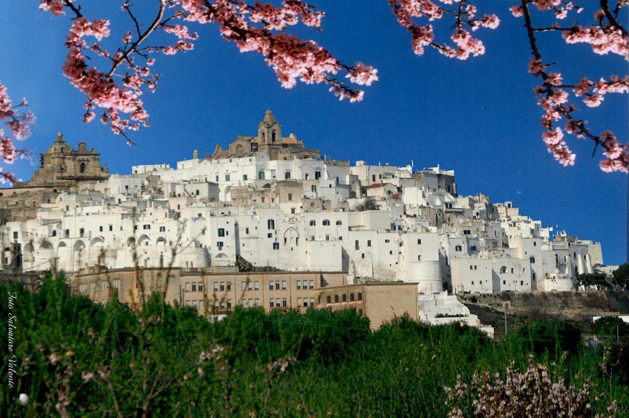 Casa Carlotta Vila Ostuni Exterior foto